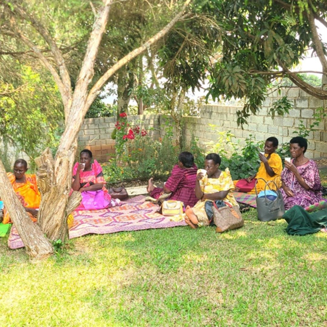 Elderly people socializing while sitting in the grass.